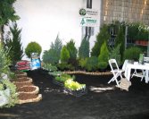 Szombathelyi Börze 2005