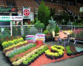 Szombathelyi Börze 2009