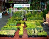 Szombathelyi Börze 2010