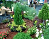 Szombathelyi Börze 2013